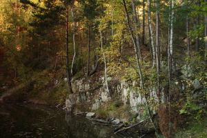 Zbiornik pokopalniany, drzewostan mieszany wykształcony na zboczach poeksploatacyjnych