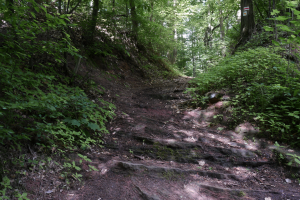 Podłoże szlaku z wietrzejących piaskowc&oacute;w triasowych